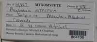 Image Associated With the Occurence